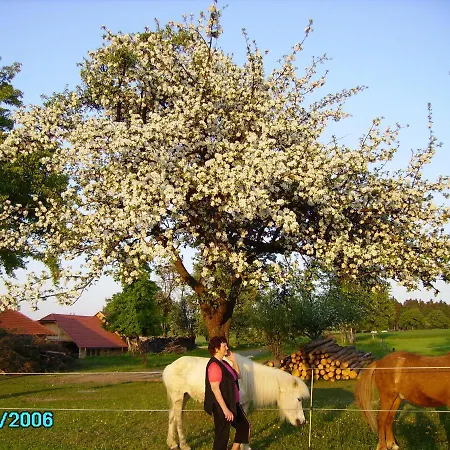 Gestehof Hetzenberg 住宿加早餐酒店 Haag