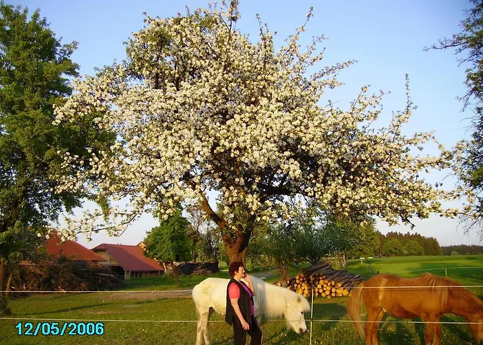 Gestehof Hetzenberg לינה וארוחת בוקר Haag